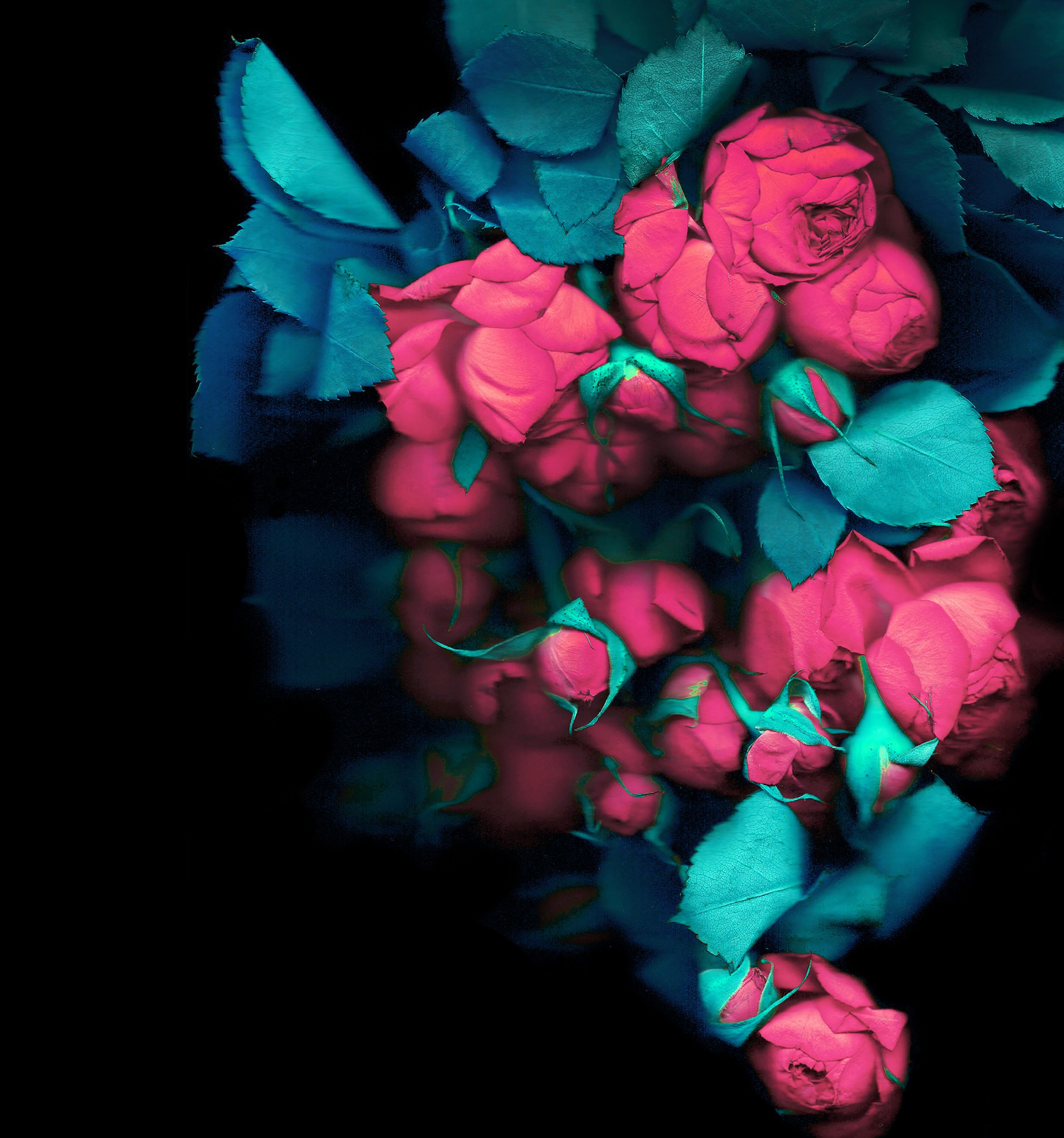 Honor-V20-Duvar-kağıtları