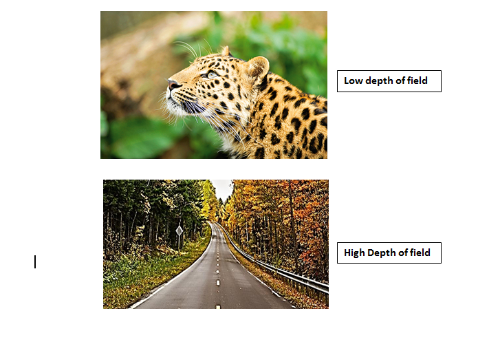 Eğitim-Temel-Fotoğrafçılık-Soruları-ve-Cevapları