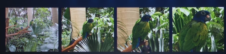 Honor-20-Honor-20-Pronun-Kamera-Detayları-ve-Fotoğraf-Örnekleri