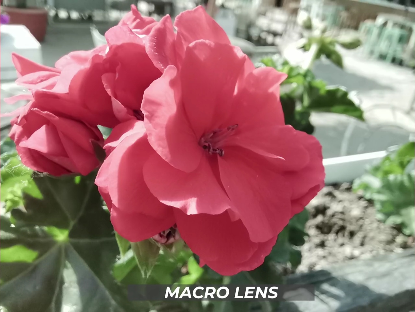 Honor-20-Honor-20-Pronun-Kamera-Detayları-ve-Fotoğraf-Örnekleri