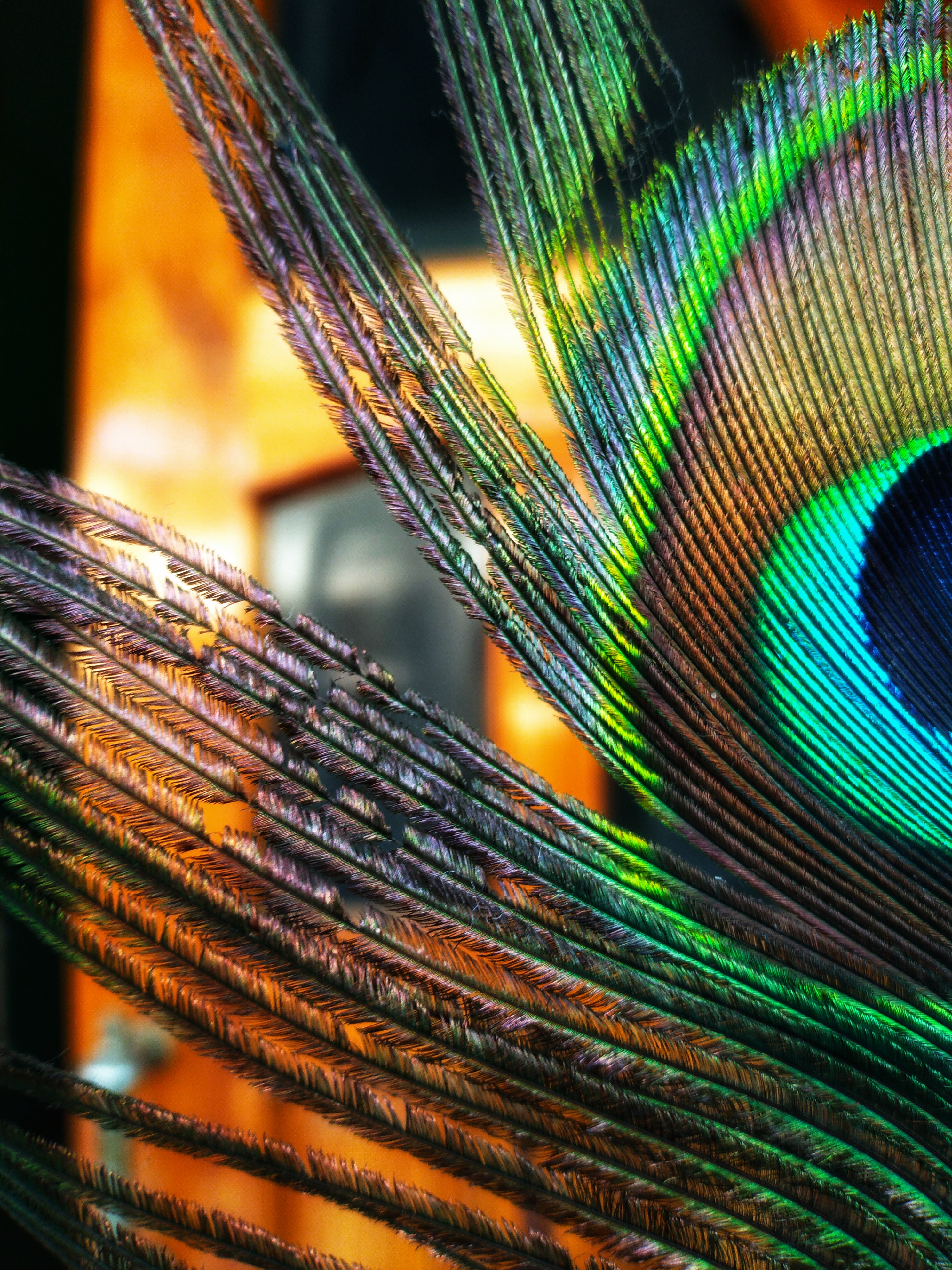 Honor-8C-Manuel-Odaklama-Nasıl-Kullanılır