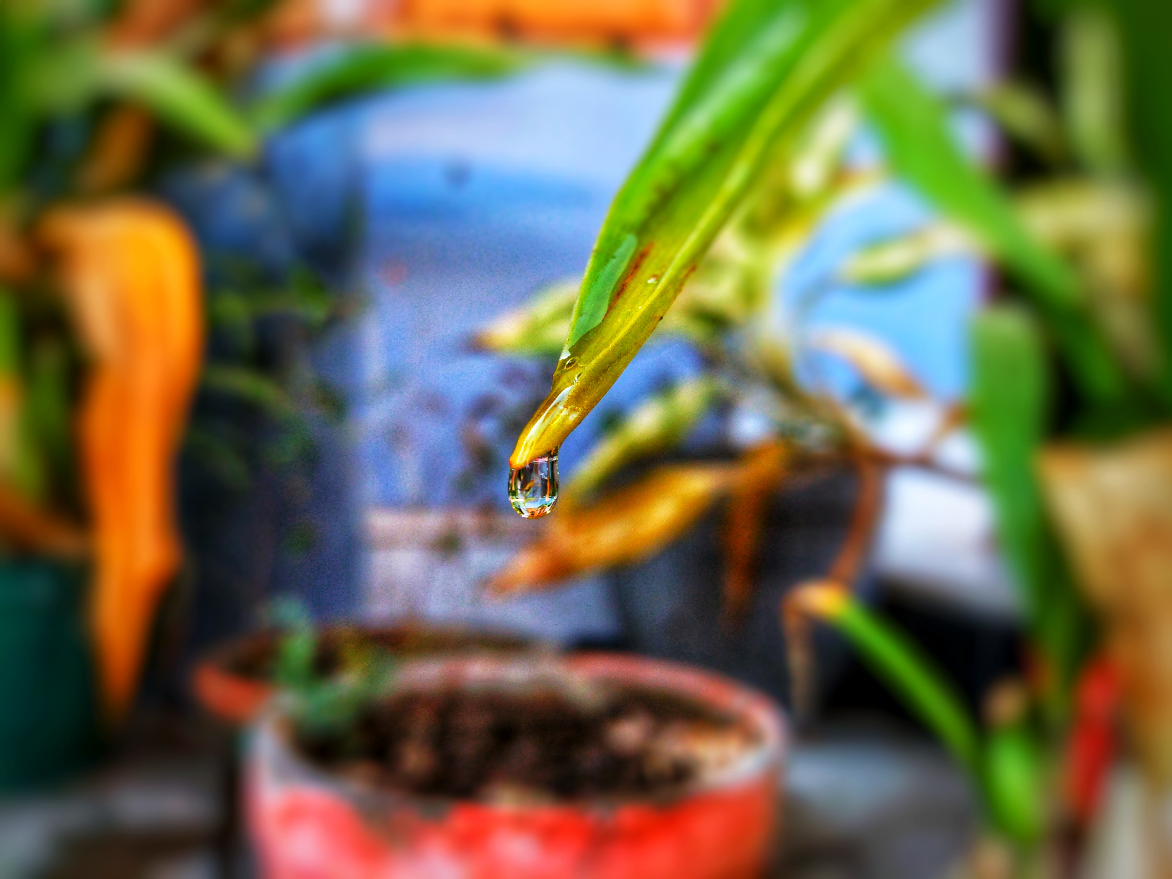 Honor-8C-Manuel-Odaklama-Nasıl-Kullanılır