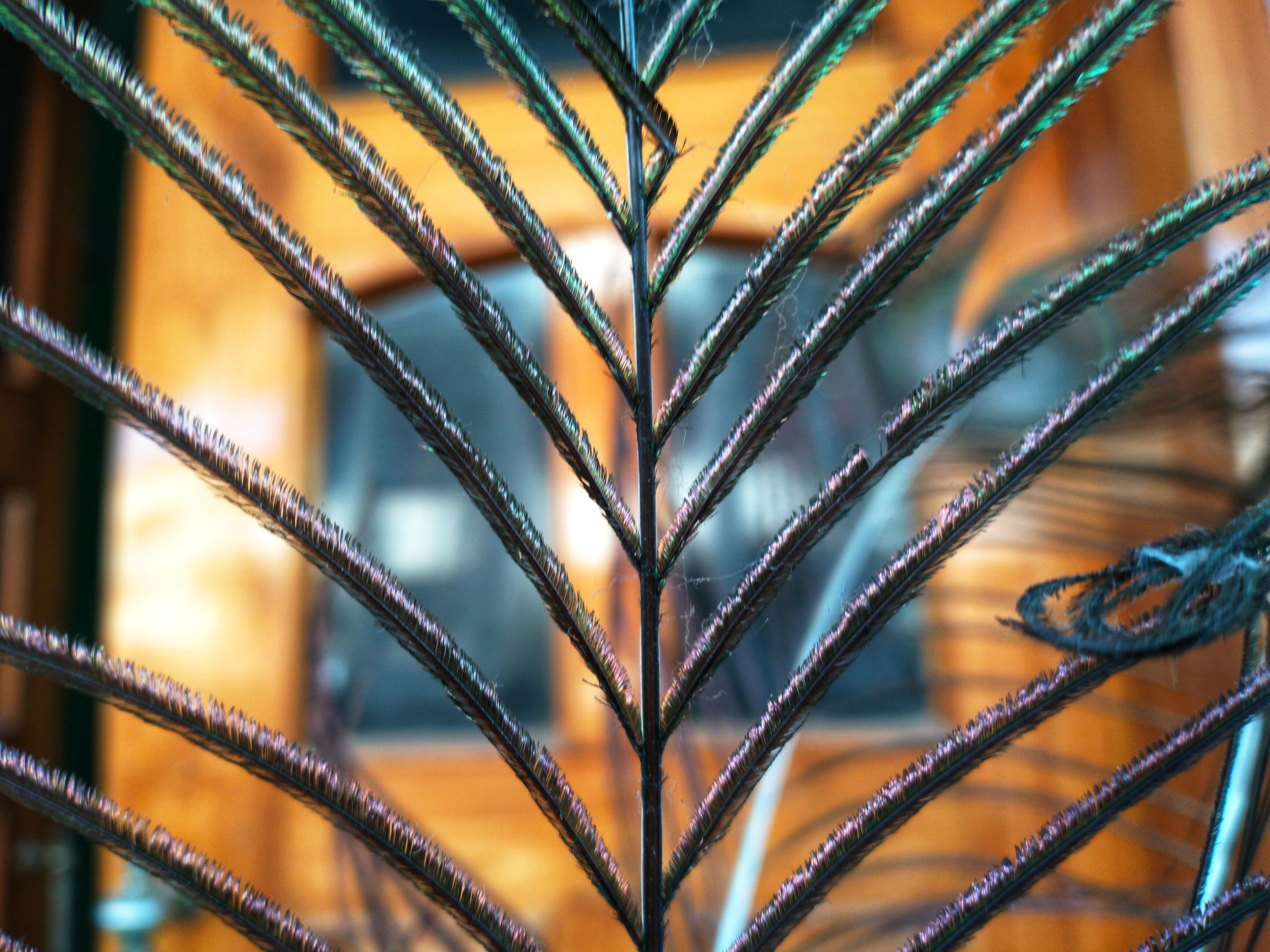 Honor-8C-Manuel-Odaklama-Nasıl-Kullanılır