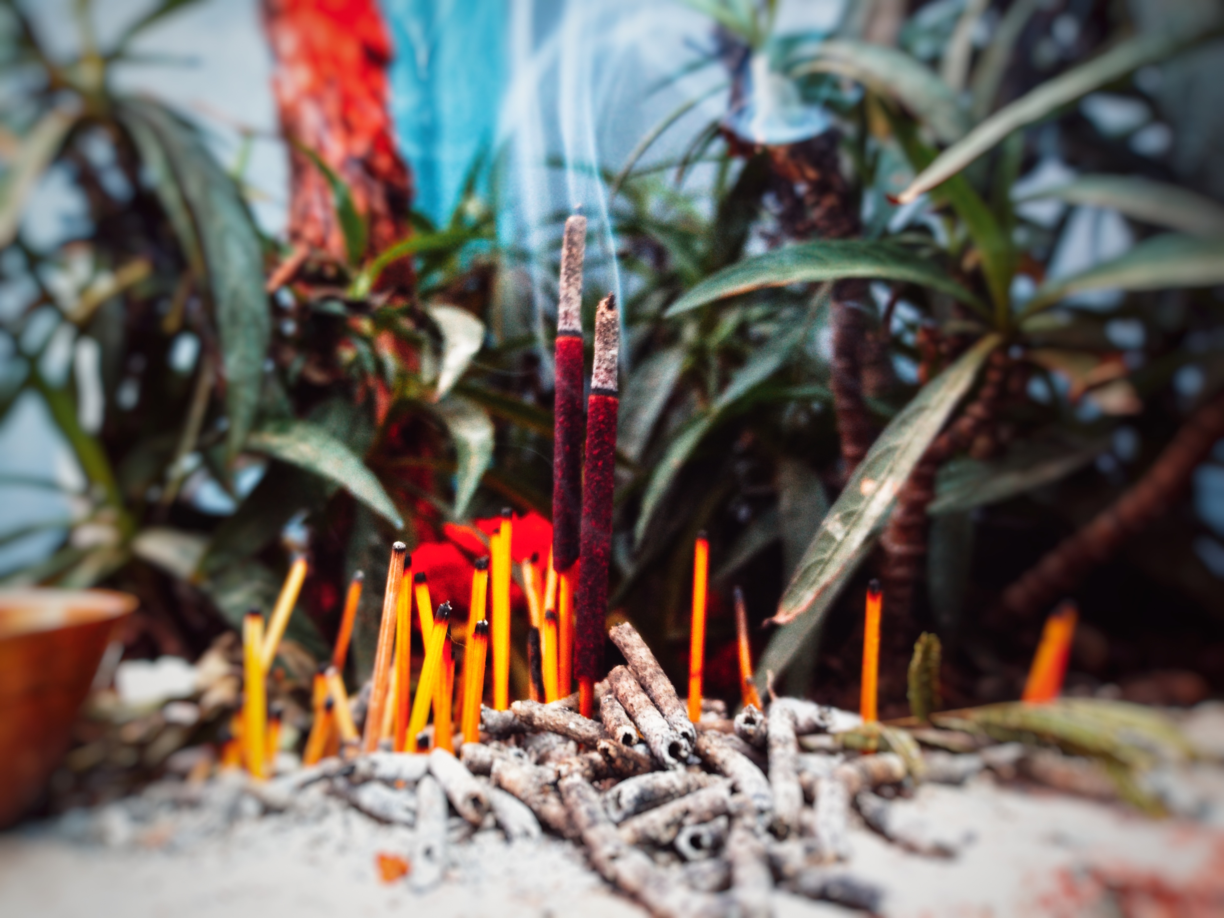 Honor-8C-Manuel-Odaklama-Nasıl-Kullanılır