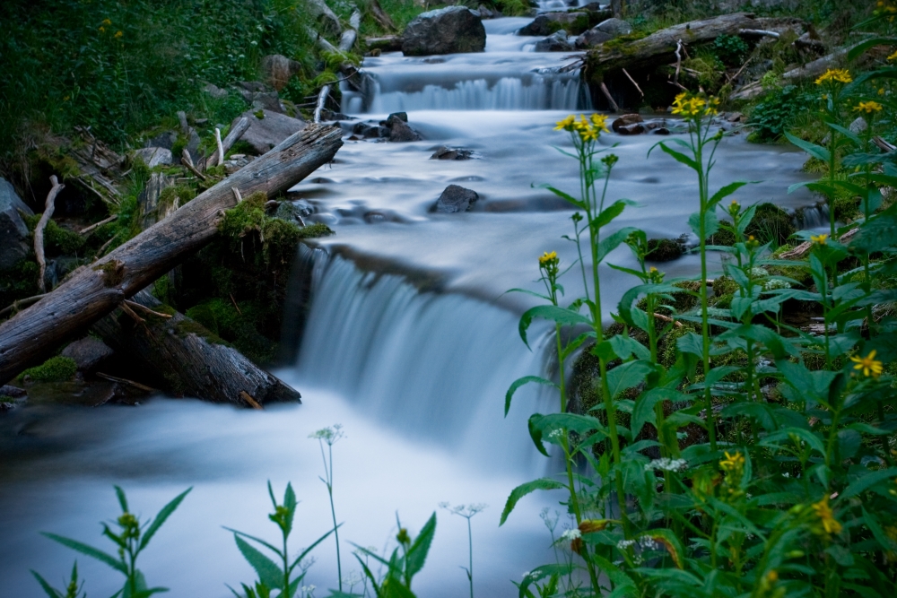 Fotoğraflarınızdaki-Puslu-Su-Etkisi-Nasıl-Oluşturulur