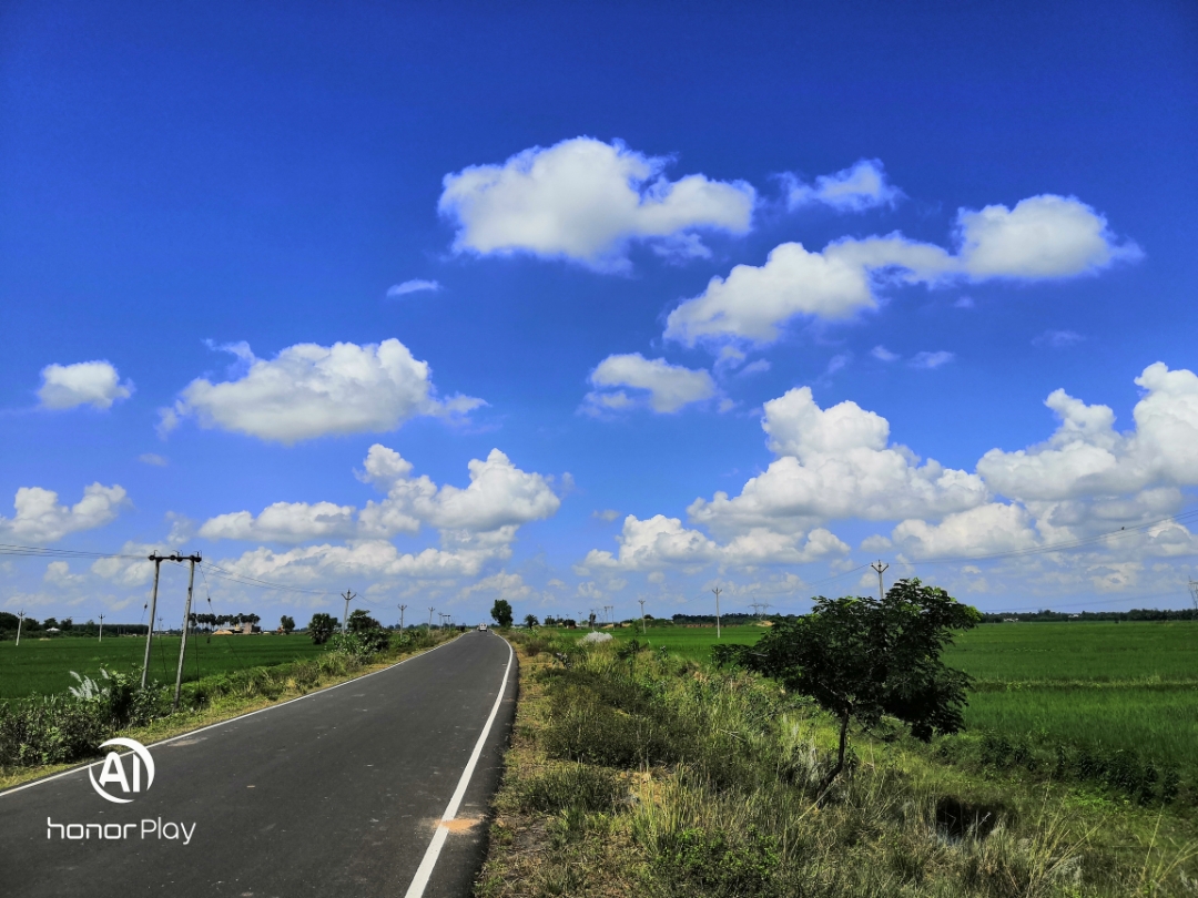 Honor-Hayranları-Tarafından-Çekilen-Şaşırtıcı-Fotoğraflar