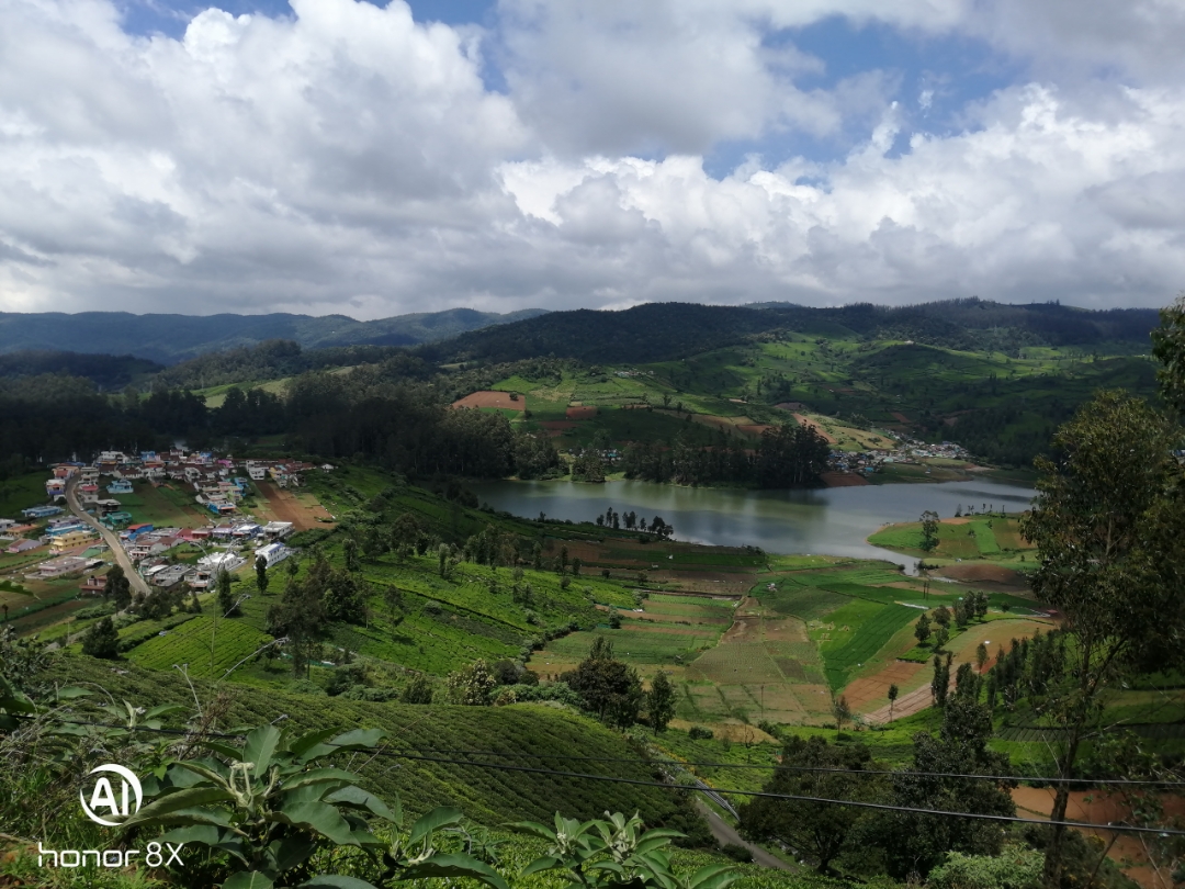 Honor-Hayranları-Tarafından-Çekilen-Şaşırtıcı-Fotoğraflar