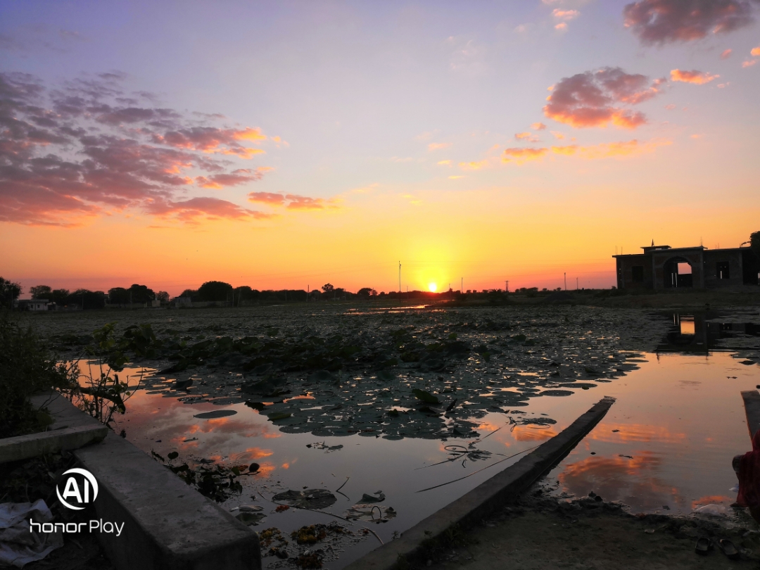 Honor-Hayranları-Tarafından-Çekilen-Şaşırtıcı-Fotoğraflar