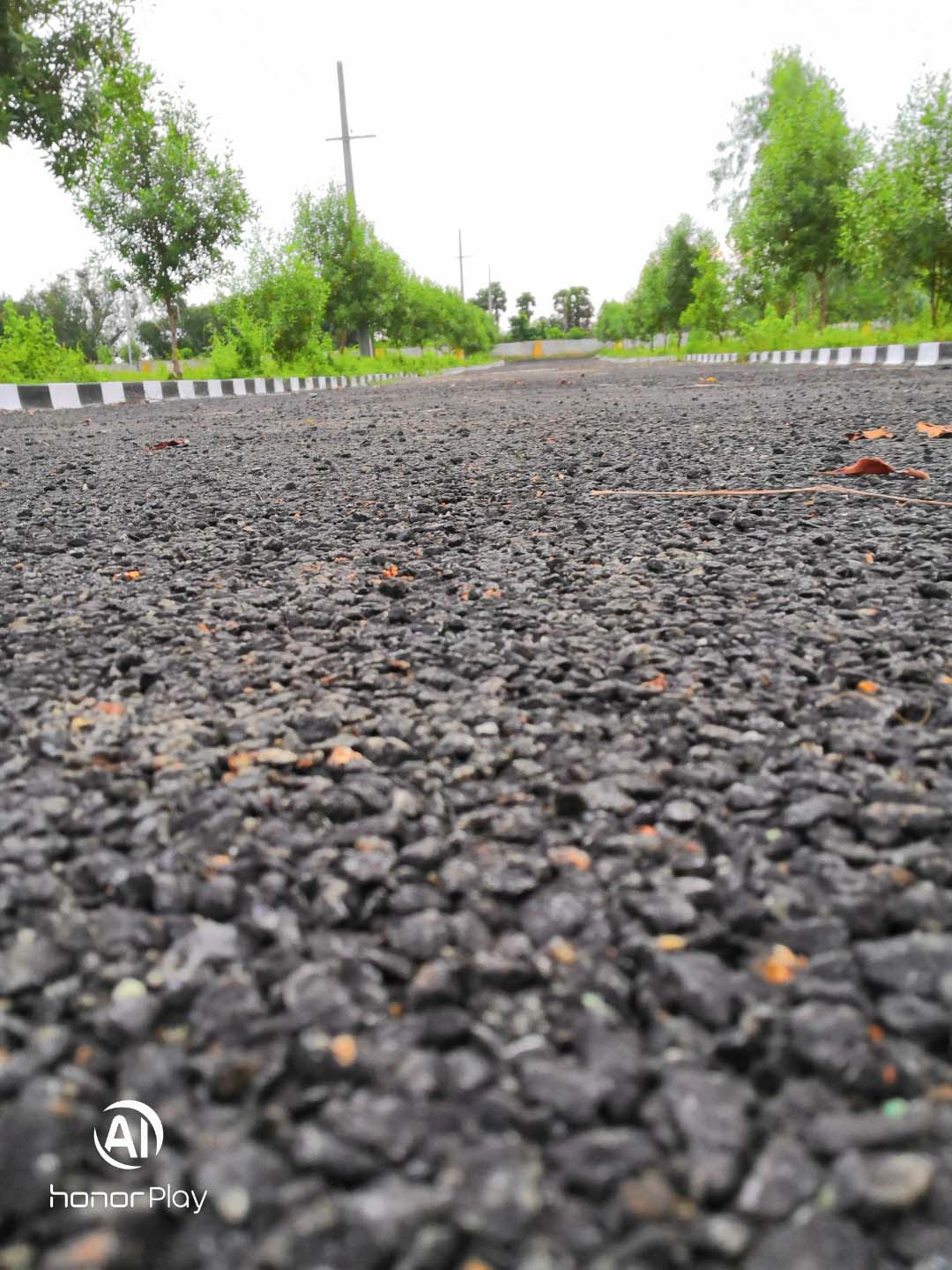 Honor-Hayranları-Tarafından-Çekilen-Şaşırtıcı-Fotoğraflar