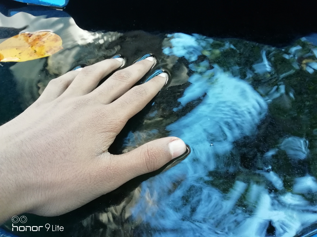 Honor-Hayranları-Tarafından-Çekilen-Şaşırtıcı-Fotoğraflar