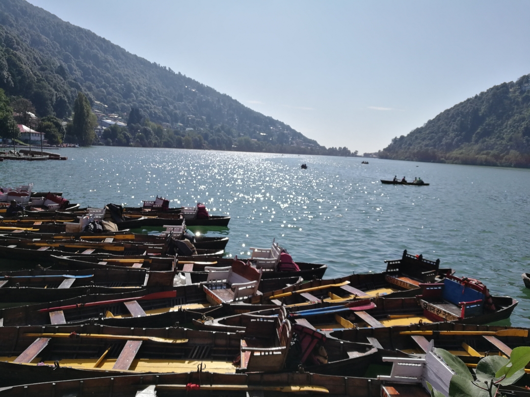 Honor-Hayranları-Tarafından-Çekilen-Şaşırtıcı-Fotoğraflar