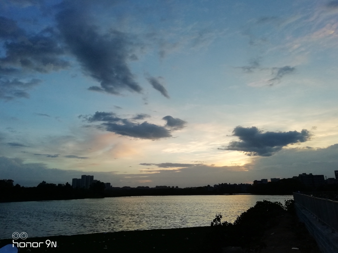 Honor-Hayranları-Tarafından-Çekilen-Şaşırtıcı-Fotoğraflar