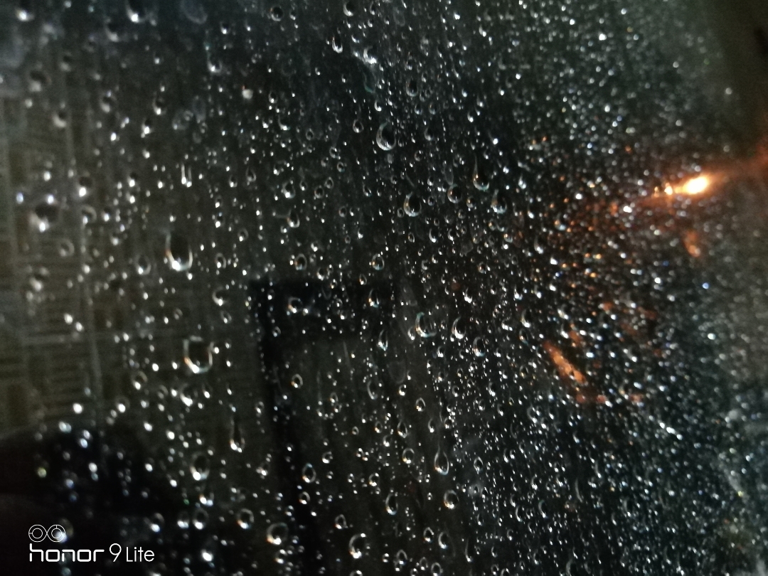 Honor-Hayranları-Tarafından-Çekilen-Şaşırtıcı-Fotoğraflar