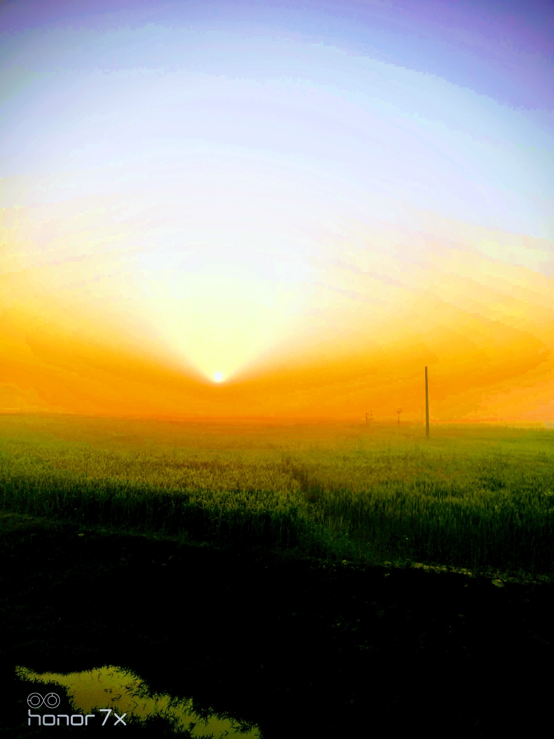 Honor-Hayranları-Tarafından-Çekilen-Şaşırtıcı-Fotoğraflar