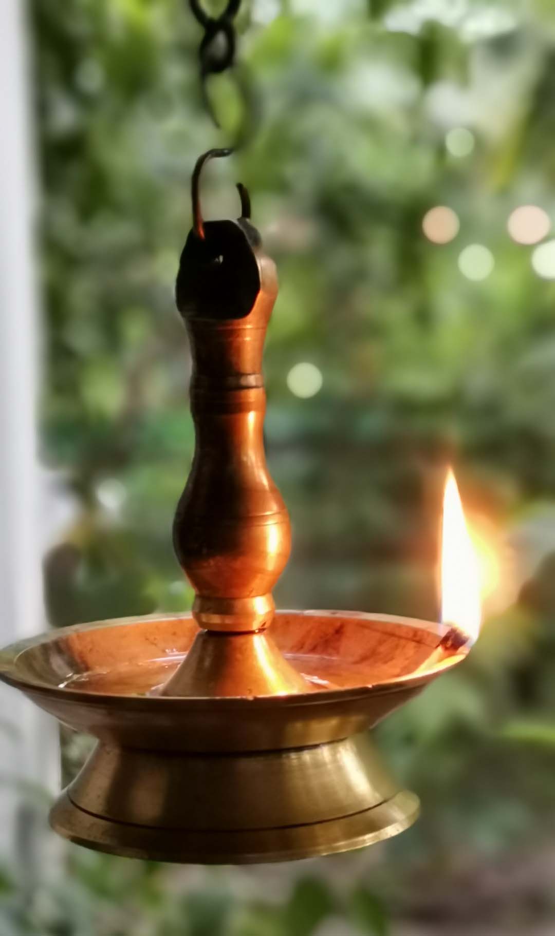 Honor-Hayranları-Tarafından-Çekilen-Şaşırtıcı-Fotoğraflar