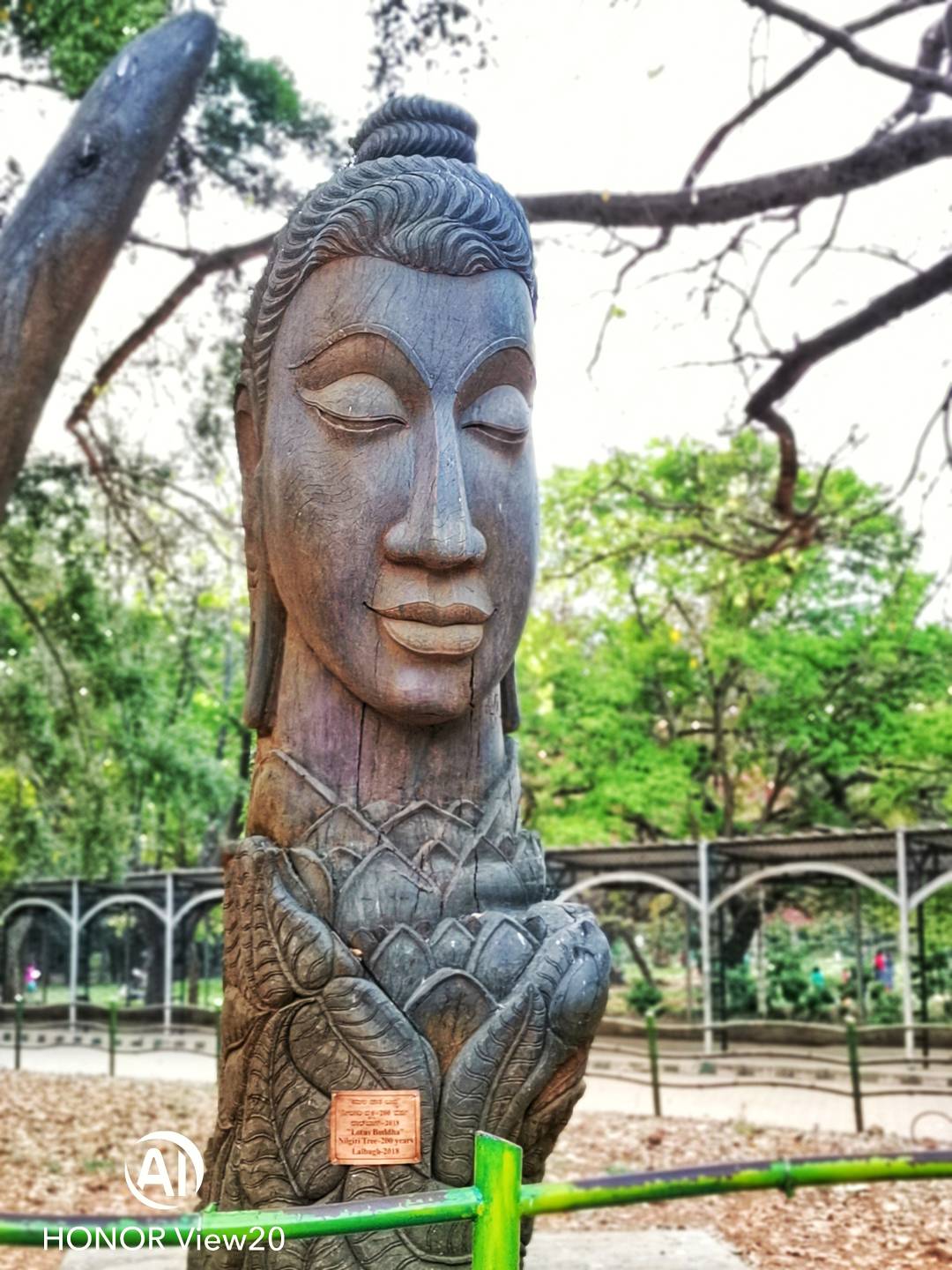 Honor-View-20nin-Farklı-Modlarla-Çekilmiş-Fotoğrafları