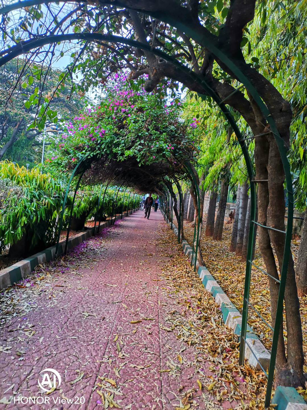 Honor-View-20nin-Farklı-Modlarla-Çekilmiş-Fotoğrafları