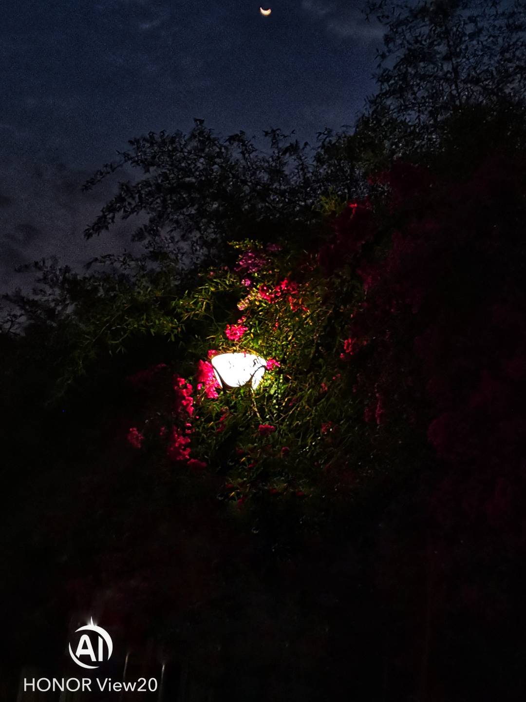 Honor-View-20nin-Farklı-Modlarla-Çekilmiş-Fotoğrafları