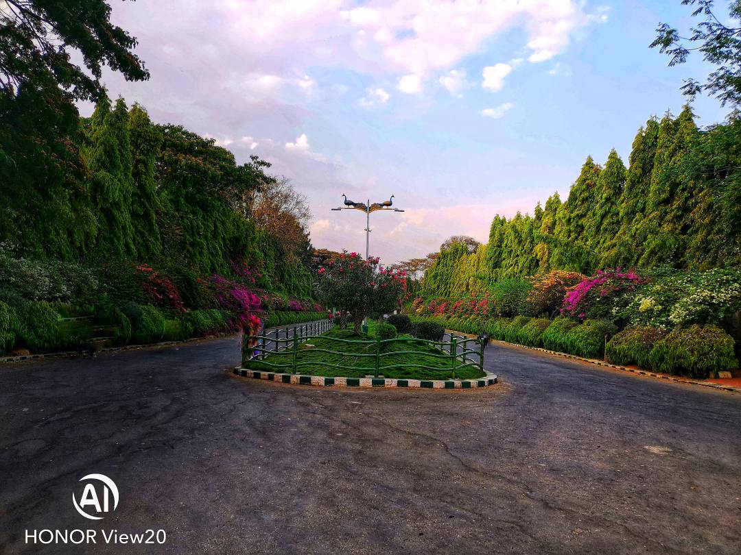 Honor-View-20nin-Farklı-Modlarla-Çekilmiş-Fotoğrafları