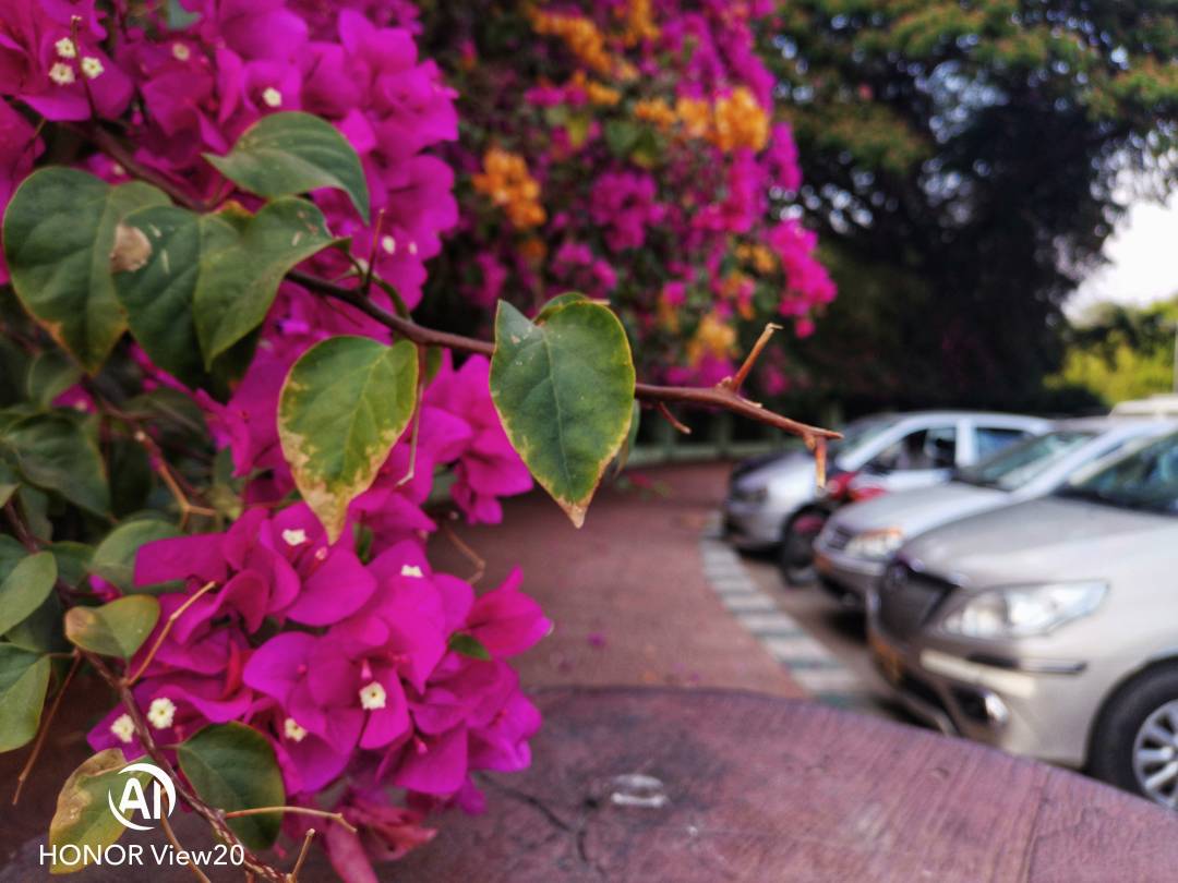 Honor-View-20nin-Farklı-Modlarla-Çekilmiş-Fotoğrafları