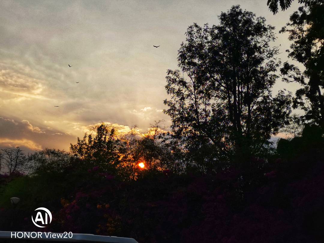 Honor-View-20nin-Farklı-Modlarla-Çekilmiş-Fotoğrafları