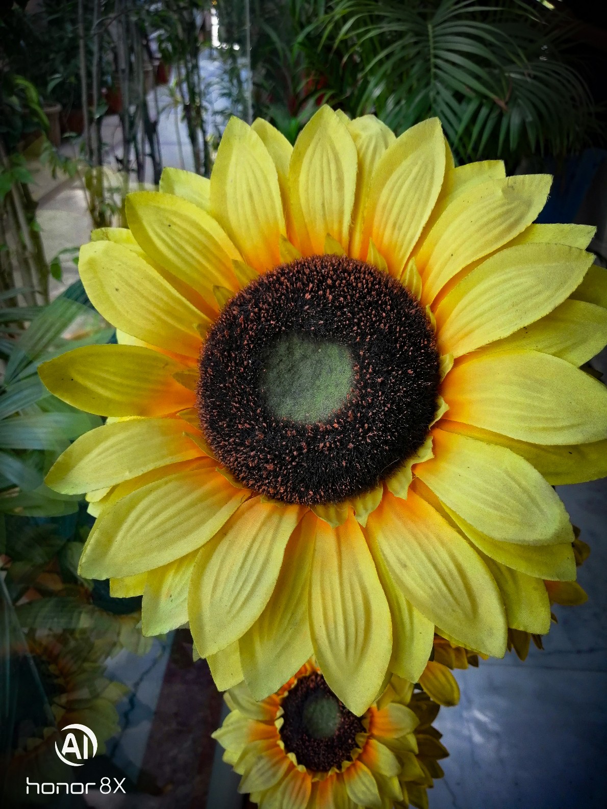 Honor-8X-Fotoğraf-Örnekleri-Yapay-Zeka-Destekli-Kamera